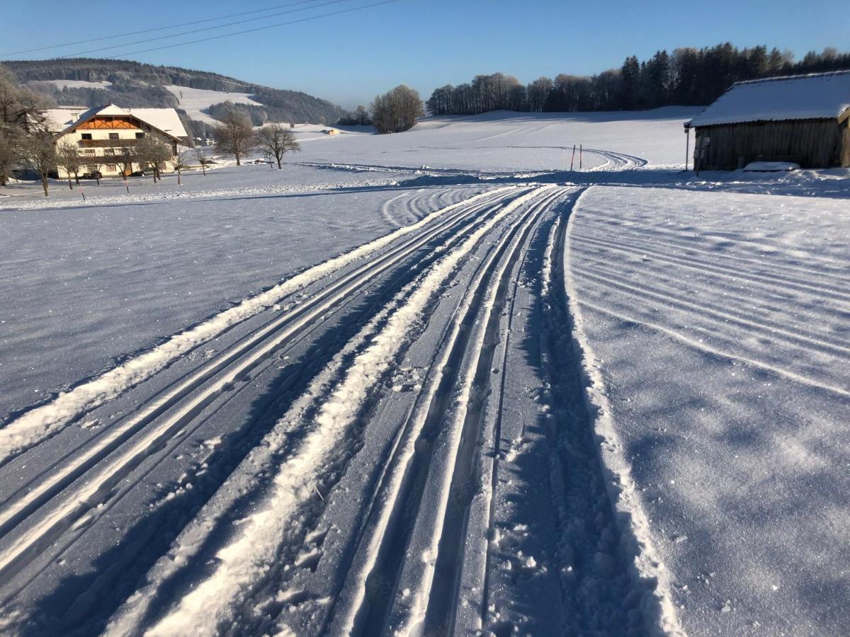 Ferienwohnung Biohof-Feichtinger Zell am Moos Exterior foto