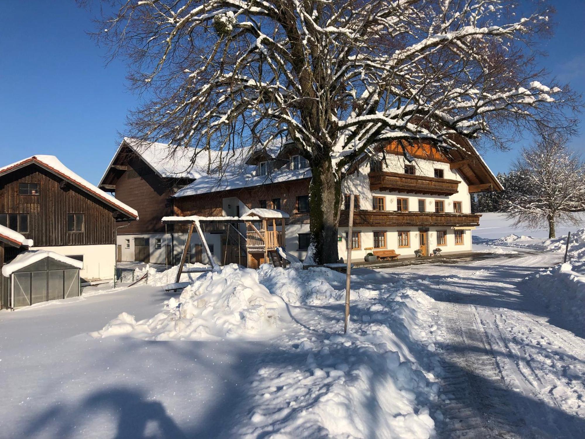 Ferienwohnung Biohof-Feichtinger Zell am Moos Exterior foto