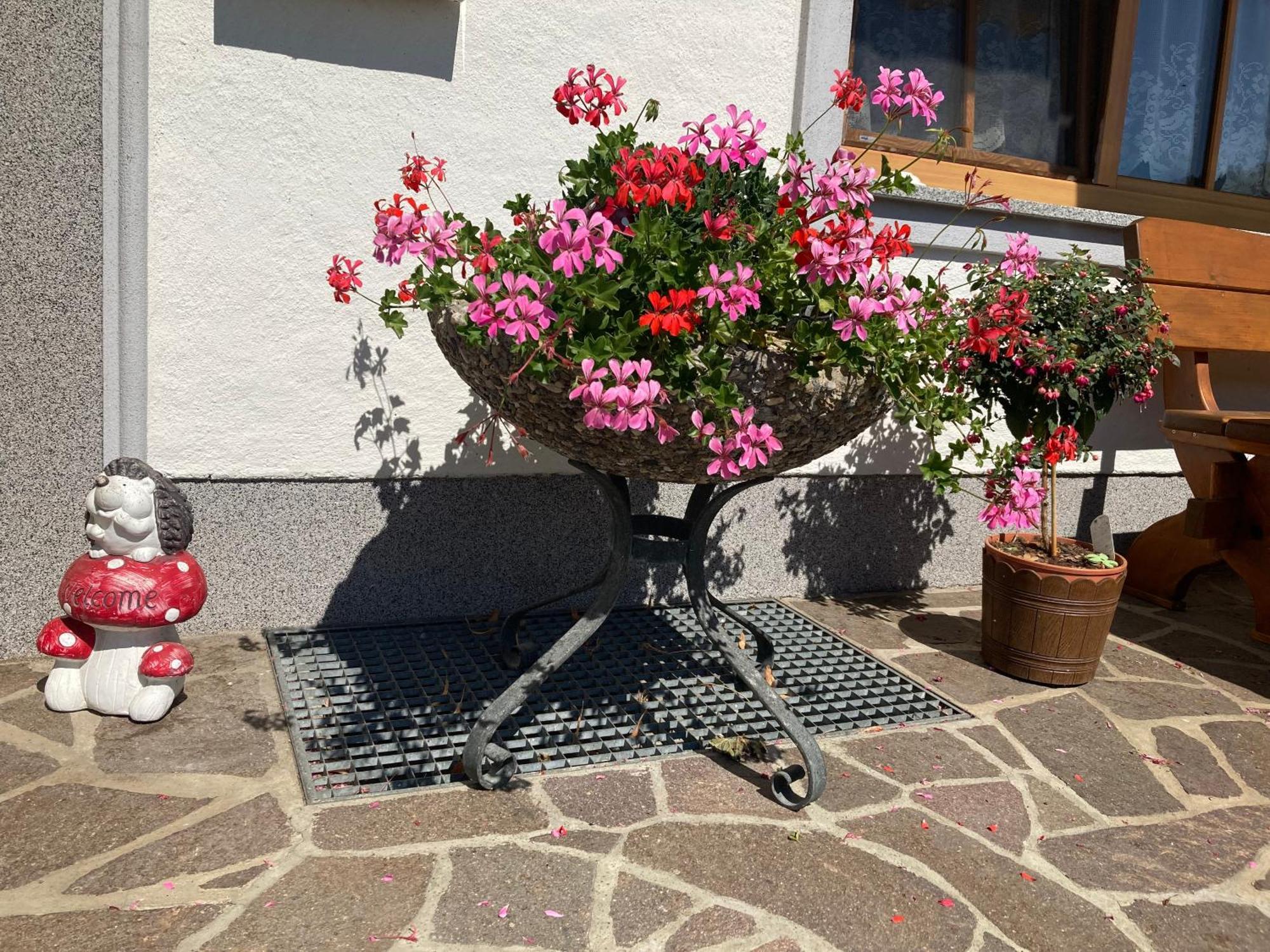 Ferienwohnung Biohof-Feichtinger Zell am Moos Exterior foto